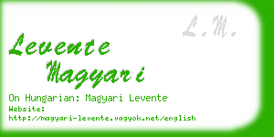 levente magyari business card